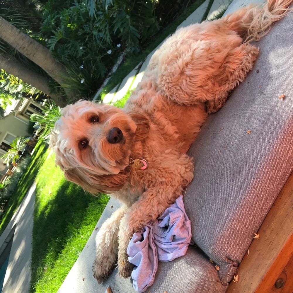 Meet your Posher, Cory